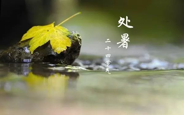 二十四節(jié)氣 | 處暑